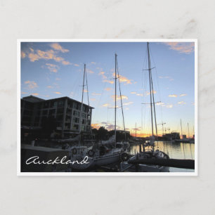 auckland harbour masts postcard