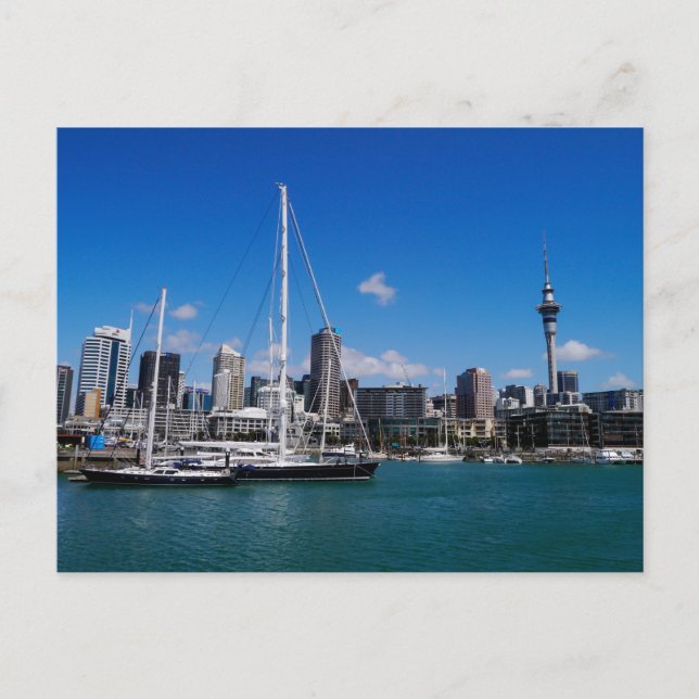 Auckland Harbour, New Zealand - Postcard (Front)
