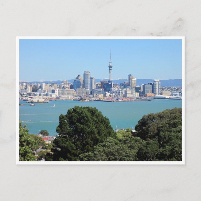 auckland skyline postcard (Front)