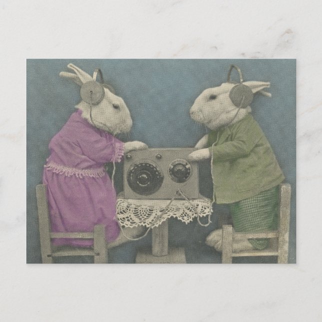 Audiophile Bunnies Postcard (Front)