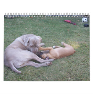 Audrey and Willow Calendar 2013