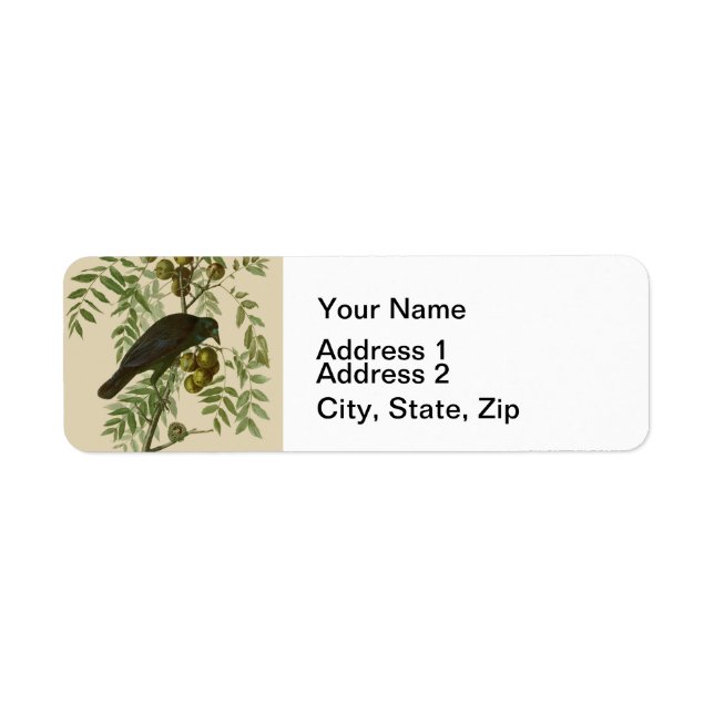 Audubon American Crow Black Bird (Front)