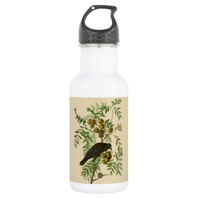 Audubon American Crow Black Bird 532 Ml Water Bottle (Front)