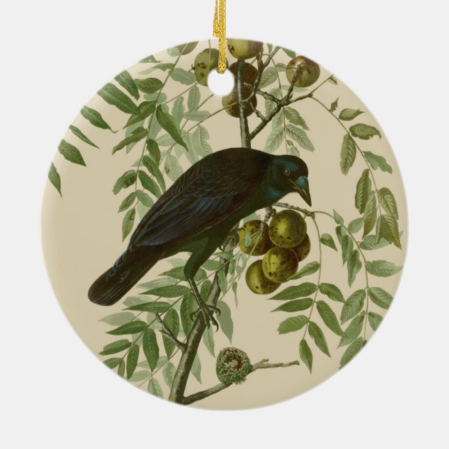 Audubon American Crow Black Bird Ceramic Tree Decoration (Back)