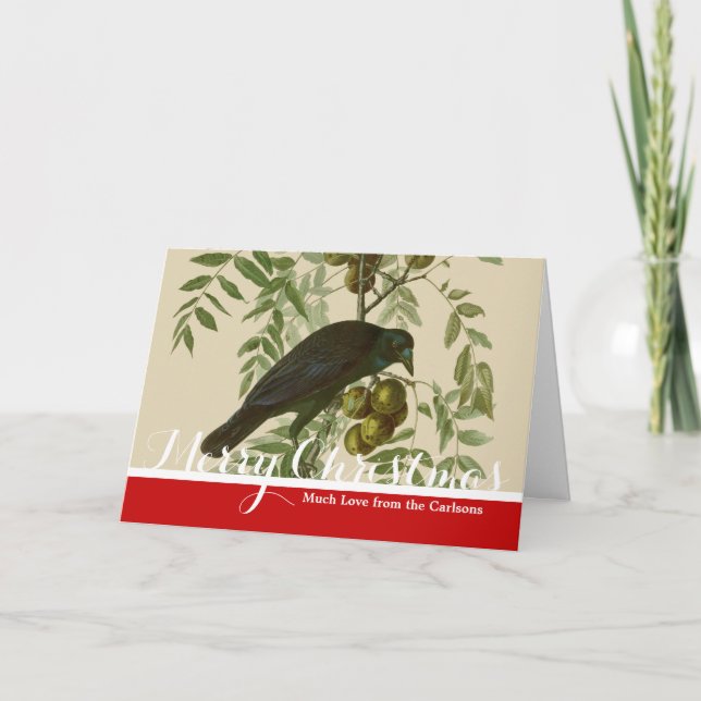 Audubon American Crow Black Bird Holiday Card (Front)