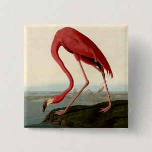 Audubon American Flamingo 15 Cm Square Badge