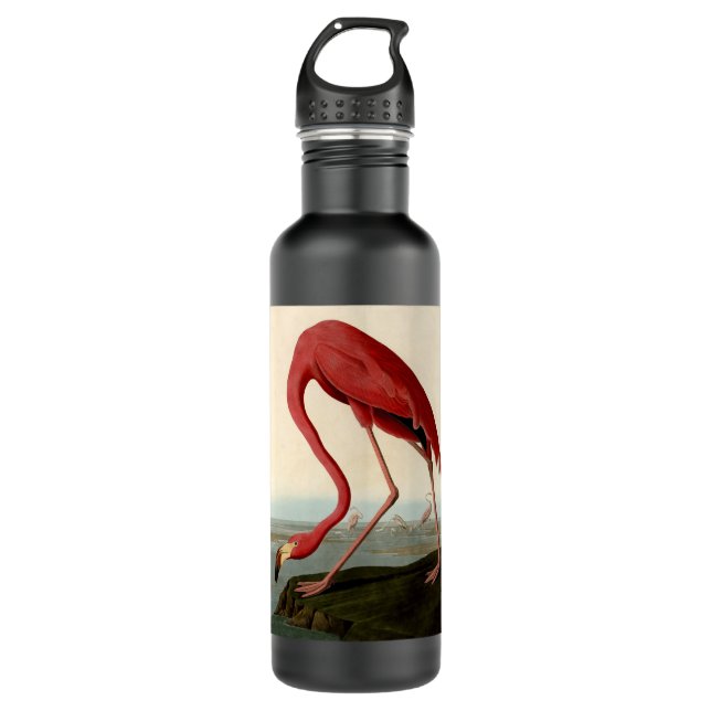 Audubon American Flamingo 710 Ml Water Bottle (Front)