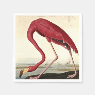 Audubon American Flamingo John James Audubon Napkin