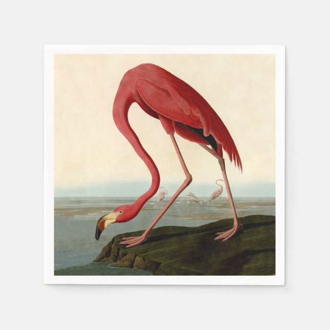 Audubon American Flamingo Napkin (Front)