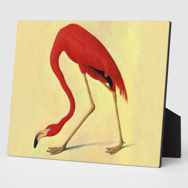 Audubon American Flamingo Painting Plaque (Side)