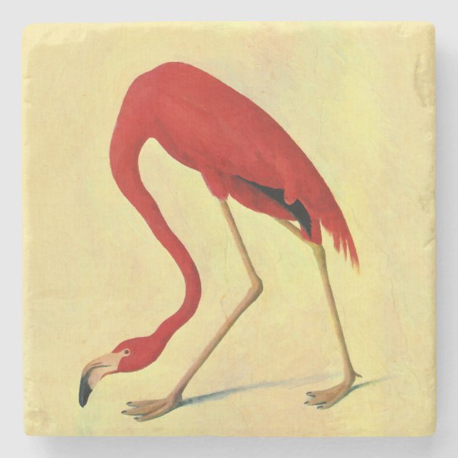 Audubon American Flamingo Painting Stone Coaster (Front)