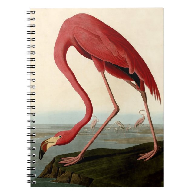 Audubon American Flamingo Spiral Notebook (Front)