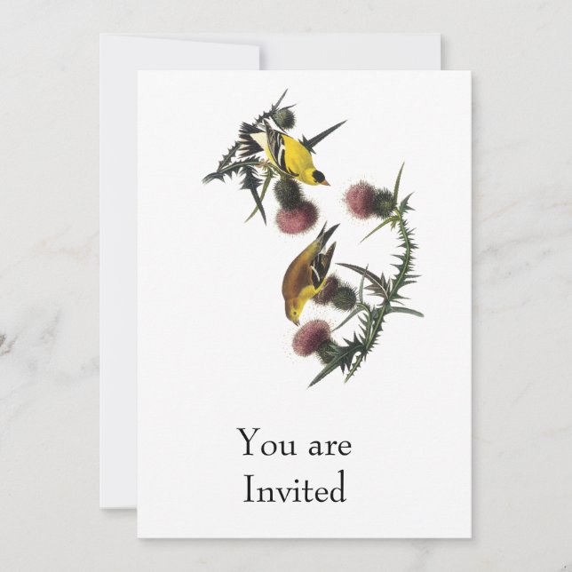 Audubon American Goldfinch Invitation (Front)