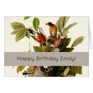 Audubon American Robin Wildlife Bird Illustration