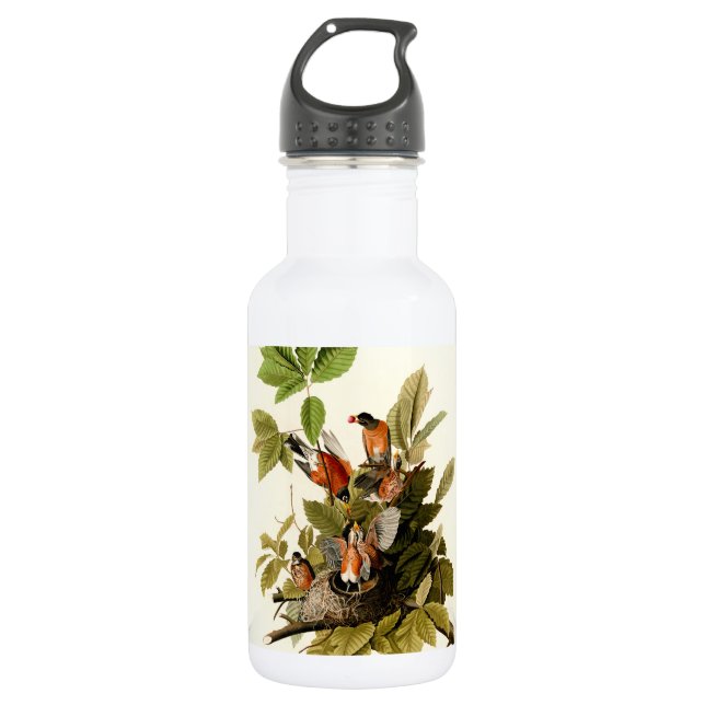 Audubon American Robin Wildlife Bird Illustration 532 Ml Water Bottle (Front)