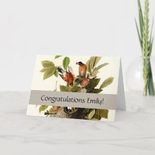 Audubon American Robin Wildlife Bird Illustration Card