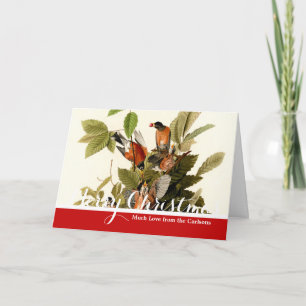 Audubon American Robin Wildlife Bird Illustration Holiday Card