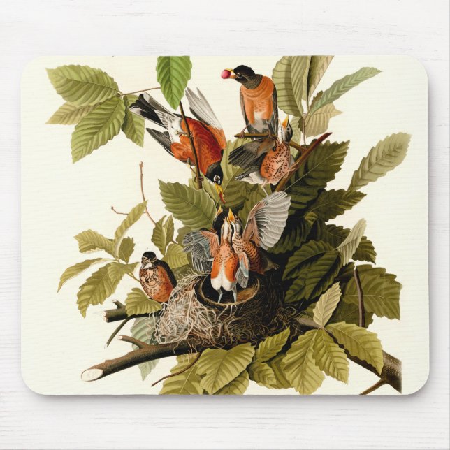 Audubon American Robin Wildlife Bird Illustration Mouse Pad (Front)
