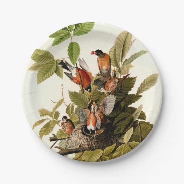 Audubon American Robin Wildlife Bird Illustration Paper Plate (Front)