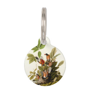 Audubon American Robin Wildlife Bird Illustration Pet Tag