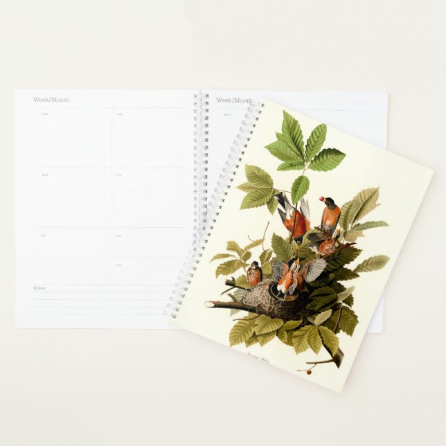 Audubon American Robin Wildlife Bird Illustration Planner (Display)