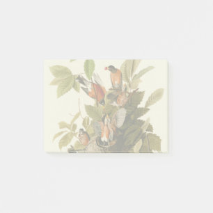 Audubon American Robin Wildlife Bird Illustration Post-it Notes