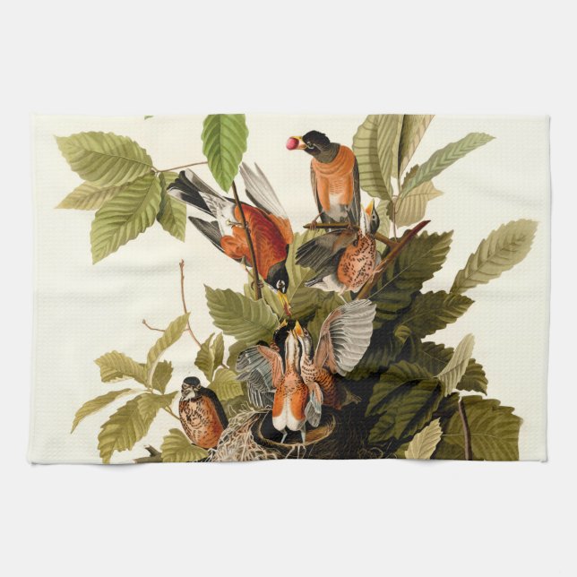 Audubon American Robin Wildlife Bird Illustration Tea Towel (Horizontal)