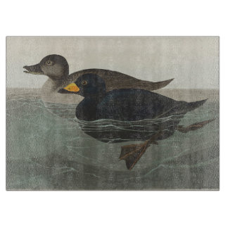 Audubon American Scoter Duck Bird Painting Cutting Board