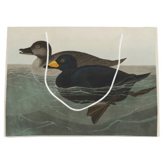 Audubon American Scoter Duck Bird Painting Large Gift Bag