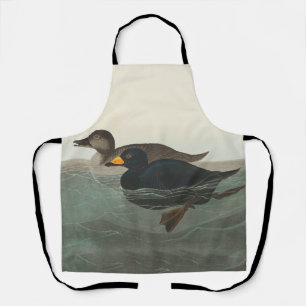 Audubon American Scoter Duck Classic Apron