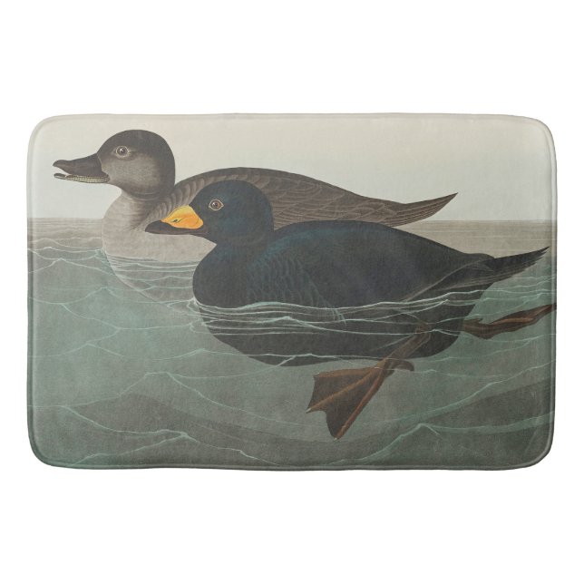 Audubon American Scoter Duck Classic Bath Mat (Front)