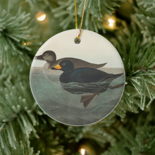 Audubon American Scoter Duck Classic Ceramic Tree Decoration