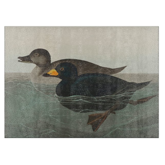 Audubon American Scoter Duck Classic Cutting Board (Front)