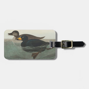 Audubon American Scoter Duck Classic Luggage Tag