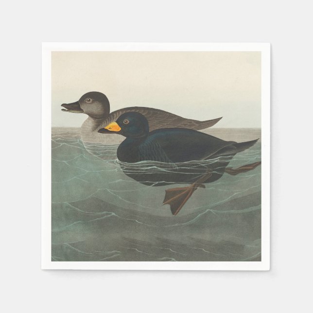 Audubon American Scoter Duck Classic Napkin (Front)