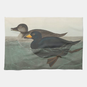 Audubon American Scoter Duck Classic Tea Towel
