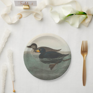 Audubon American Scoter Duck  Paper Plate
