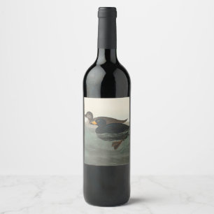 Audubon American Scoter Duck Wine Label