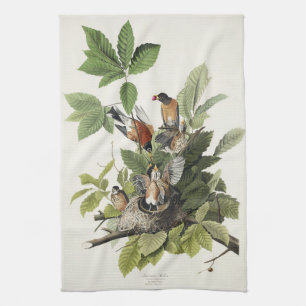 Audubon American Spring Robin Bird Illustration Tea Towel