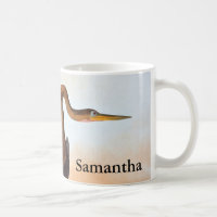 Audubon: Anhinga