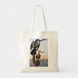 Audubon: Anhinga Tote Bag