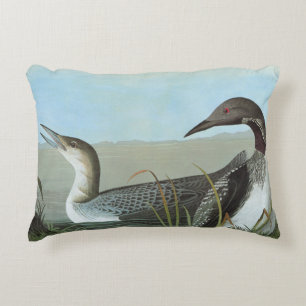 Audubon: Arctic Loon Decorative Cushion