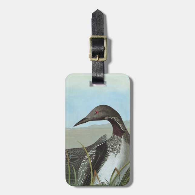 Audubon: Arctic Loon Luggage Tag (Front Vertical)