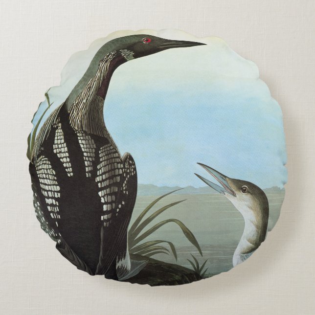 Audubon: Arctic Loon Round Cushion (Front)