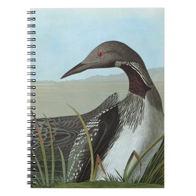 Audubon: Arctic Loon Spiral Notebook (Front)