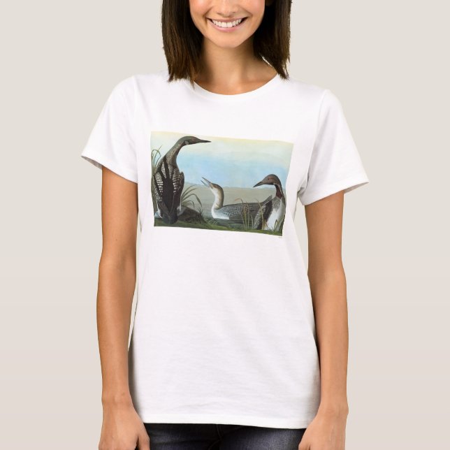 Audubon: Arctic Loon T-Shirt (Front)