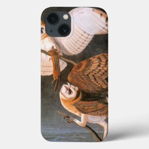 Audubon: Barn Owl iPhone 13 Case