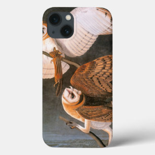 Audubon: Barn Owl iPhone 13 Case