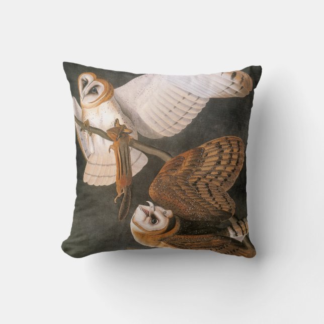 Audubon: Barn Owl Cushion (Front)