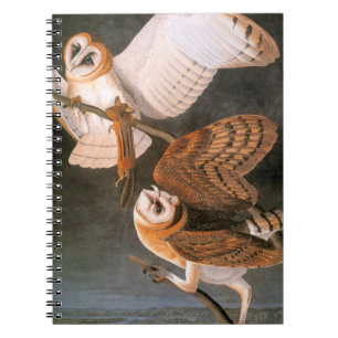 Audubon: Barn Owl Spiral Notebook